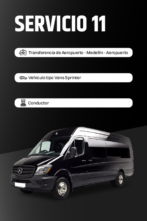 Servicio 11
